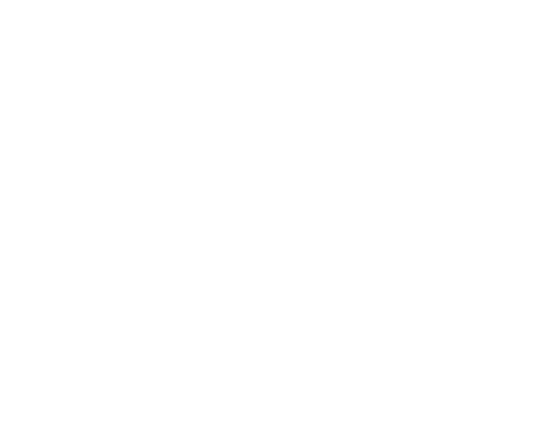 KJP Damme